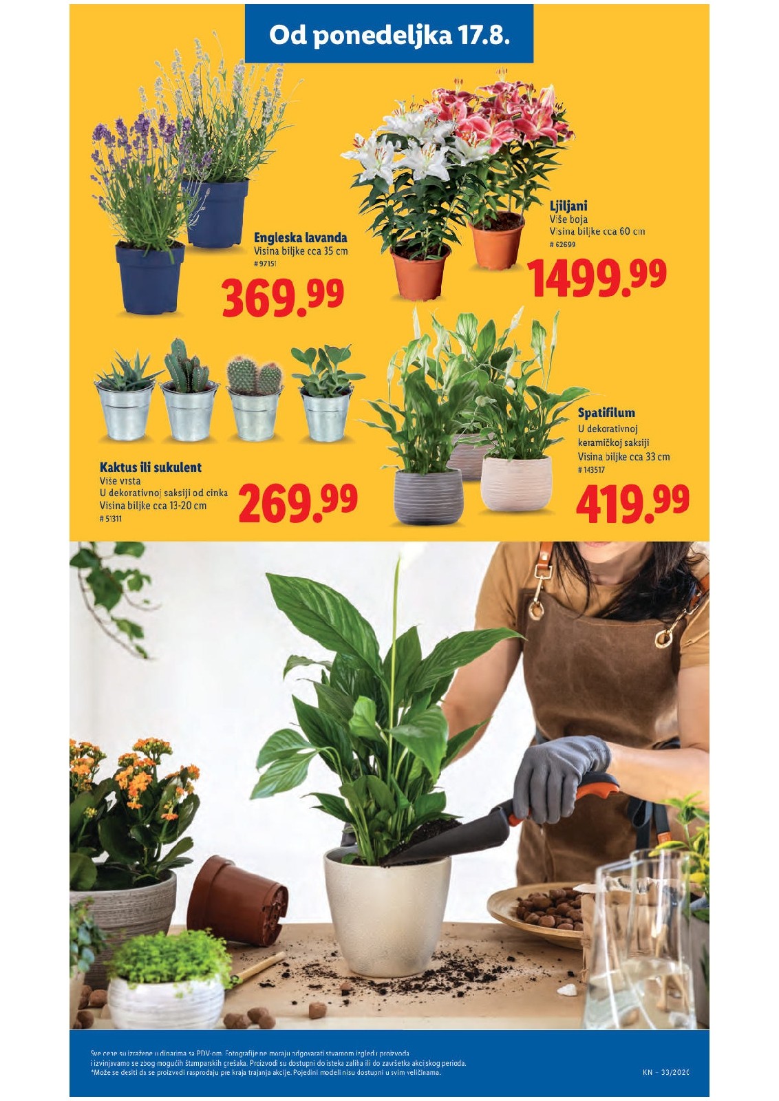 Lidl katalog akcija strana 75 – važi od 13.8. do 16.8.2026.