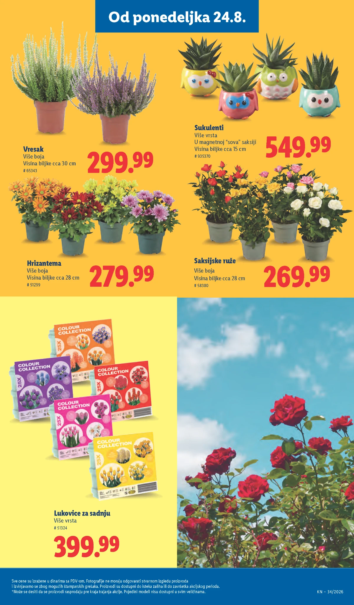 Lidl katalog akcija strana 79 – važi od 20.8. do 26.8.2026.