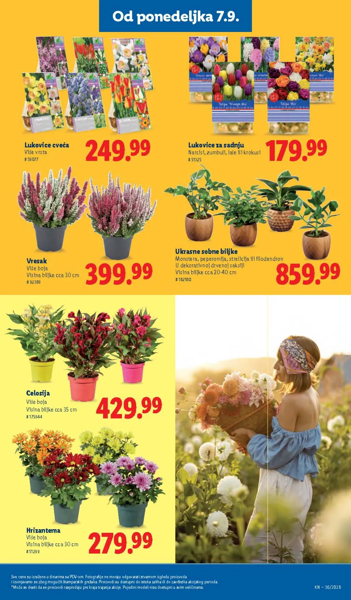 Lidl katalog akcija strana 83 – važi od 3.9. do 9.9.2026.