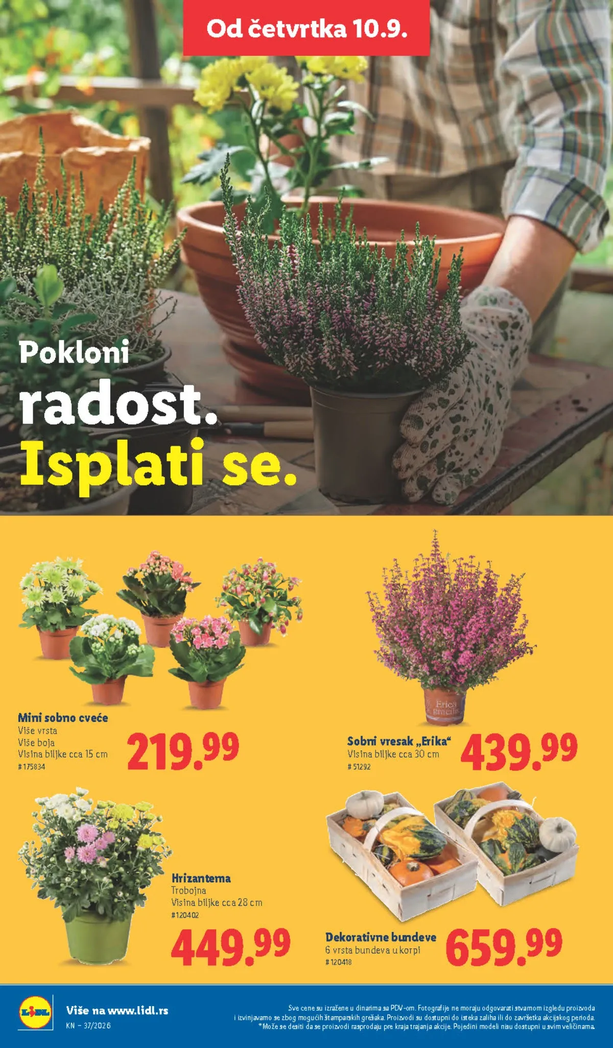 Lidl katalog akcija strana 59 – važi od 10.9. do 16.9.2026.