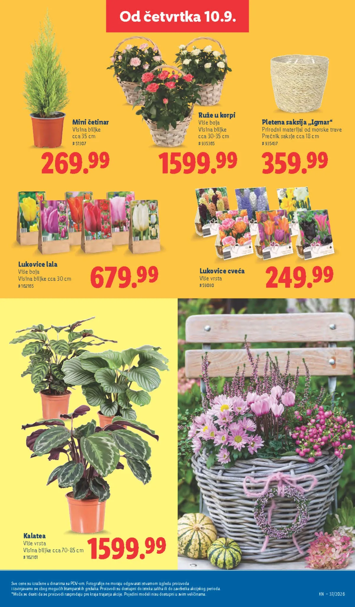 Lidl katalog akcija strana 60 – važi od 10.9. do 16.9.2026.