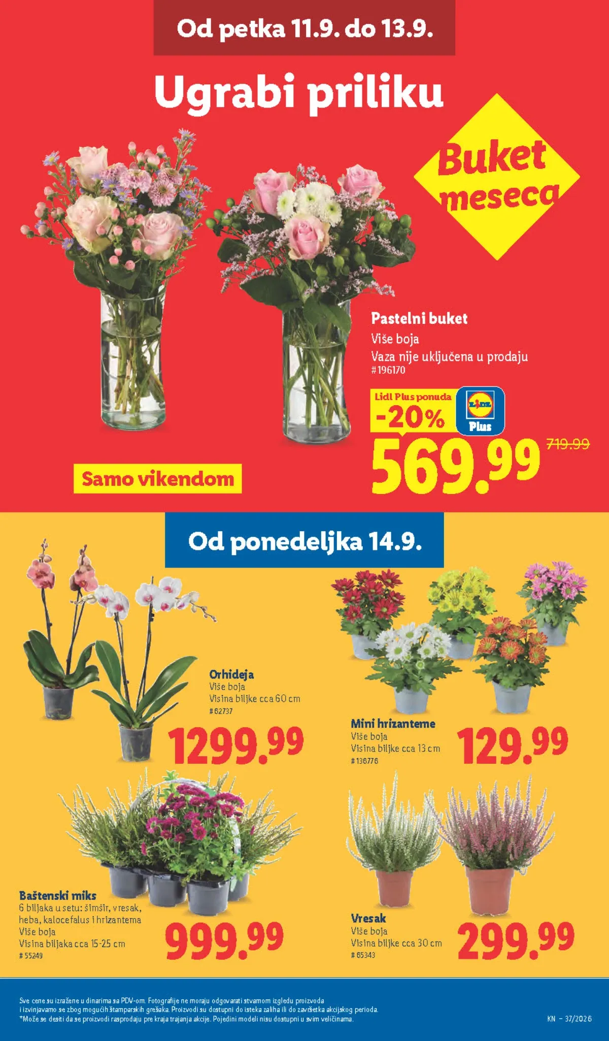 Lidl katalog akcija strana 62 – važi od 10.9. do 16.9.2026.