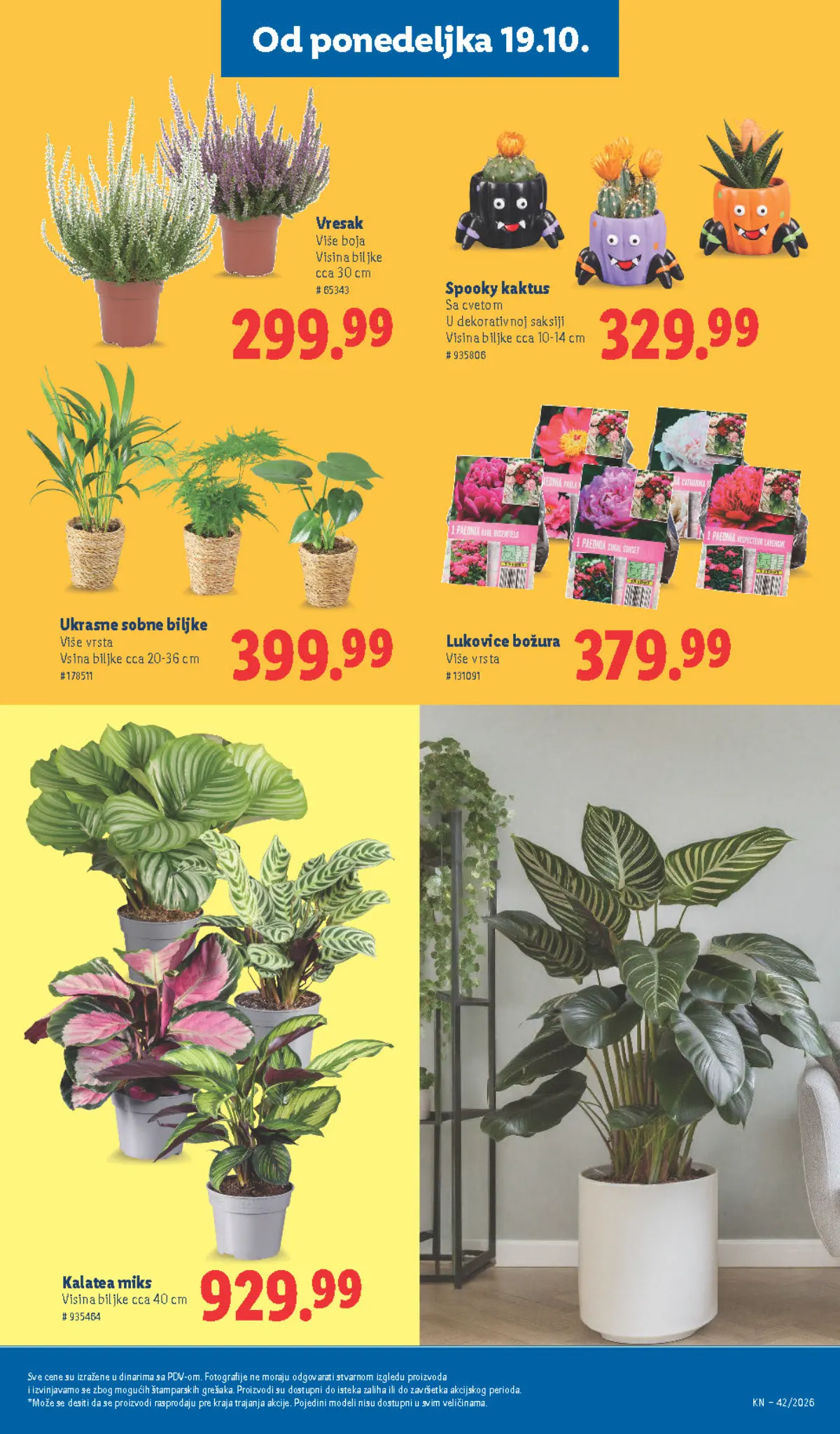 Lidl katalog akcija strana 67 – važi od 1.10. do 30.11.2026.