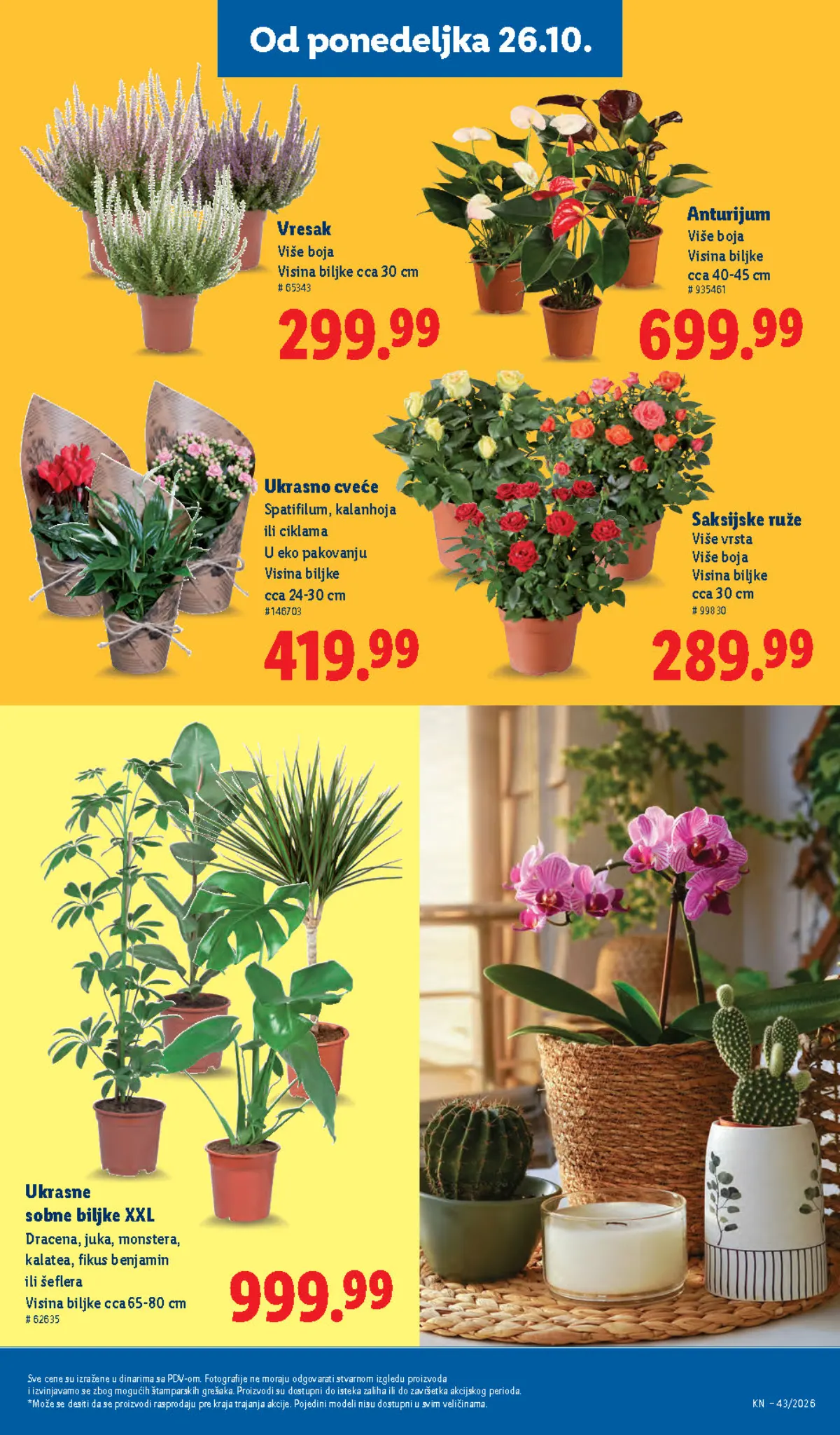 Lidl katalog akcija strana 71 – važi od 1.10. do 31.10.2026.