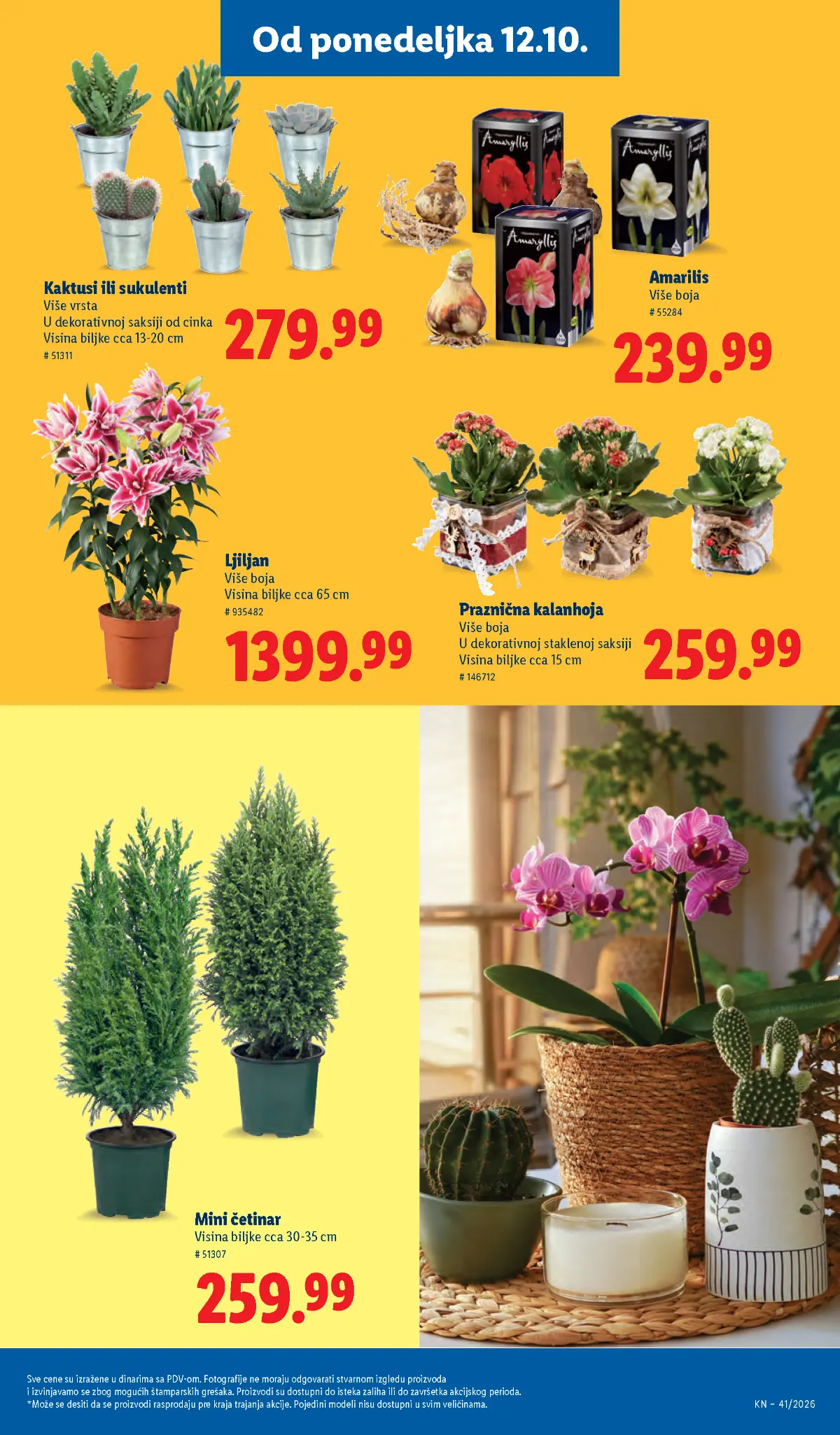 Lidl katalog akcija strana 73 – važi od 8.10. do 14.10.2026.